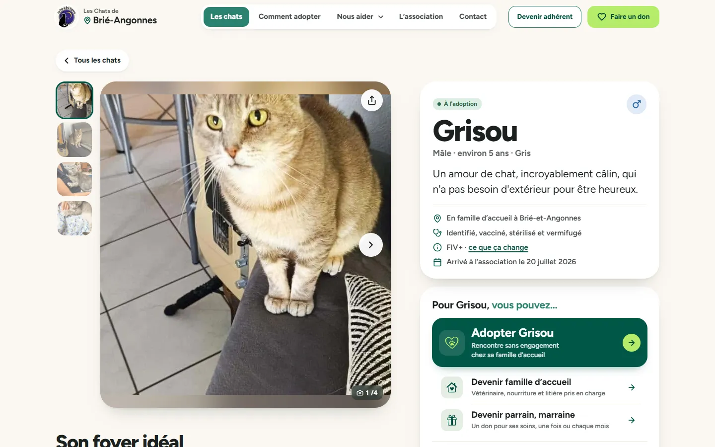 La fiche de Grisou : photos au doigt et trois façons d’aider