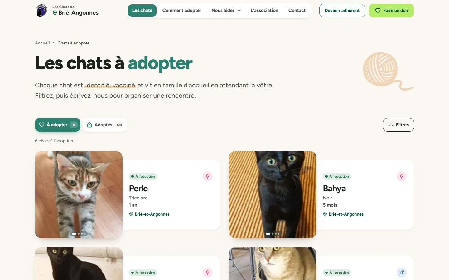 Les chats à adopter, filtrables, avec leurs photos